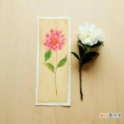 佛的说说人生感悟句子 佛说人生感悟的句子爱情
