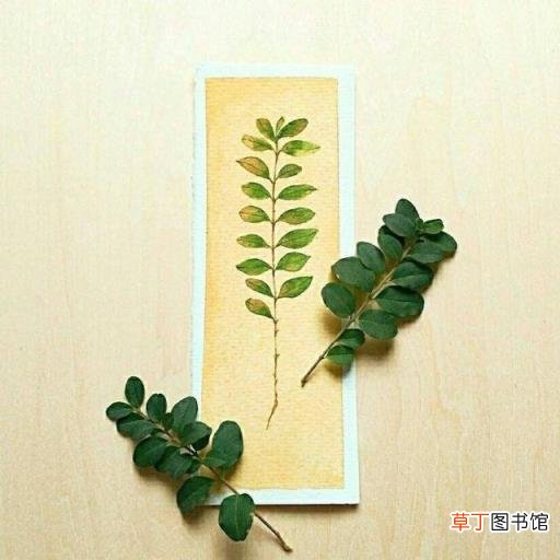 佛的说说人生感悟句子 佛说人生感悟的句子爱情