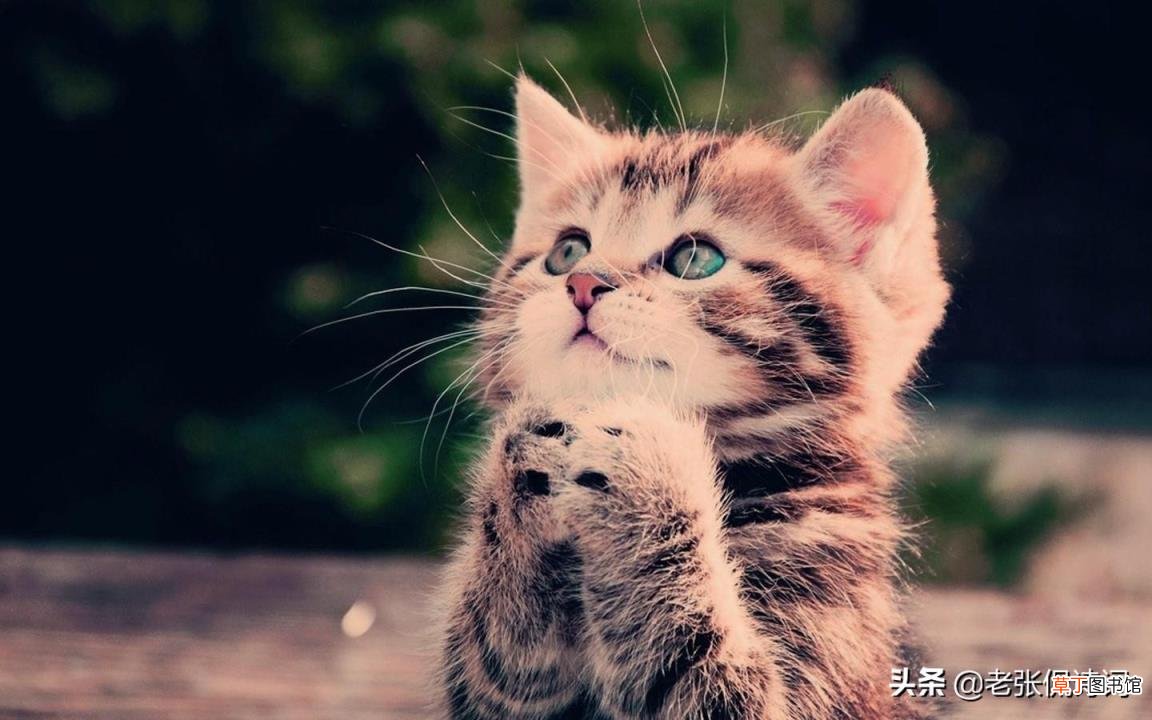 失去了才知道珍惜的诗词 形容爱情失去了才知道珍惜的诗词