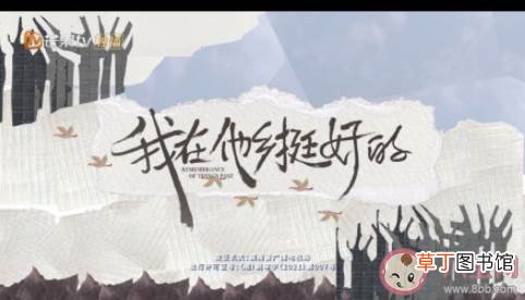 《我在他乡挺好的》评价怎么样 《我在他乡挺好的》好看吗