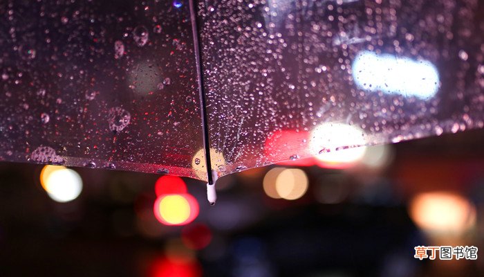 酸雨现象属于