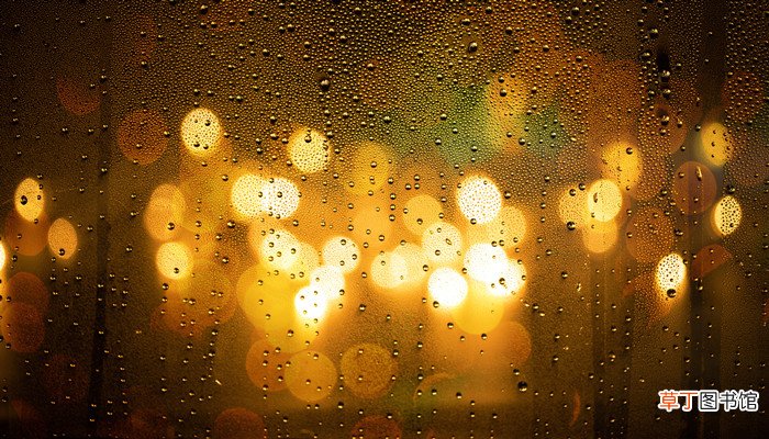 酸雨现象属于