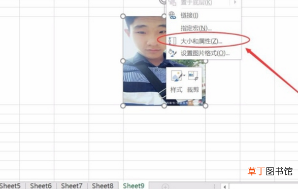 怎样使插入电子表格中的图片大小相同