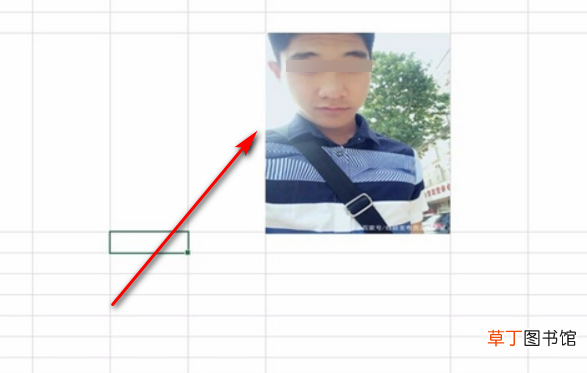 怎样使插入电子表格中的图片大小相同
