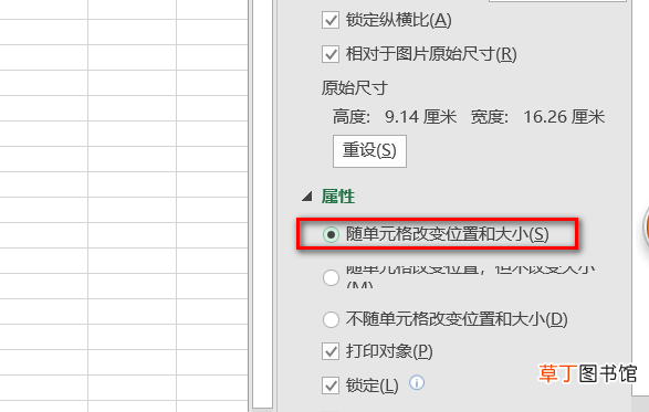 怎样使插入电子表格中的图片大小相同