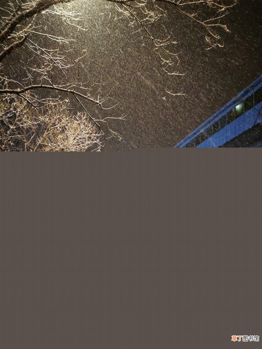 手机摄影技巧入门篇口诀 摄影入门的所有基础知识
