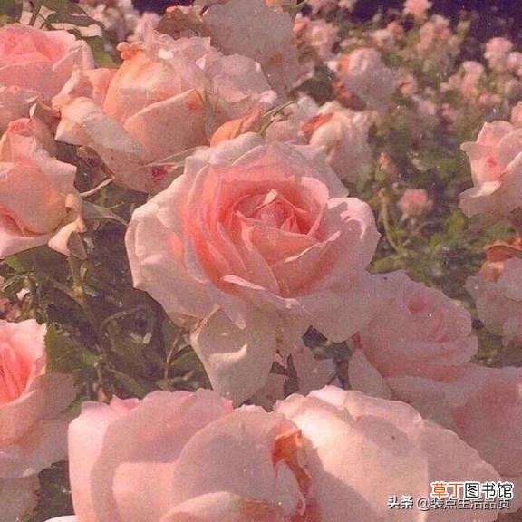 我爱你说说心里话 写给爱人最深情心里话