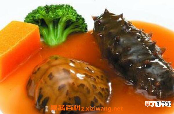 鲍汁海参如何做好吃 鲍汁海参的做法教程