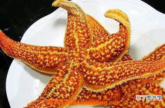 烤海星怎么吃 烤海星的正确吃法