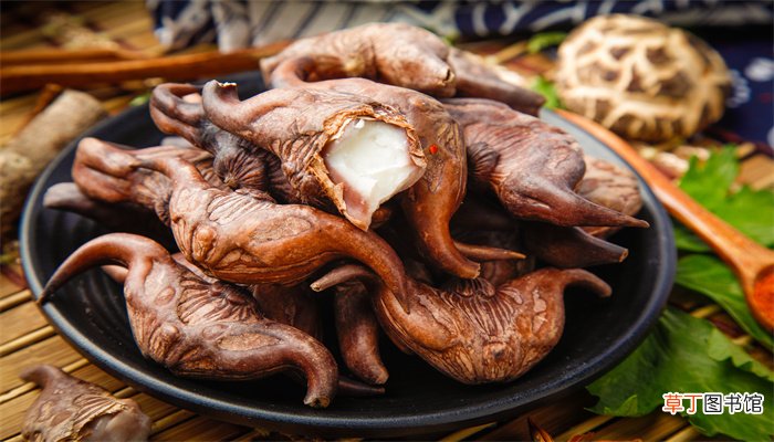 菱角根茎叫什么菜