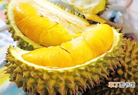 安检口吃光十斤榴莲致流鼻血吃榴莲要注意这些事