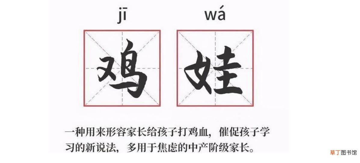 鸡娃内卷什么意思?鸡娃网络语什么意思