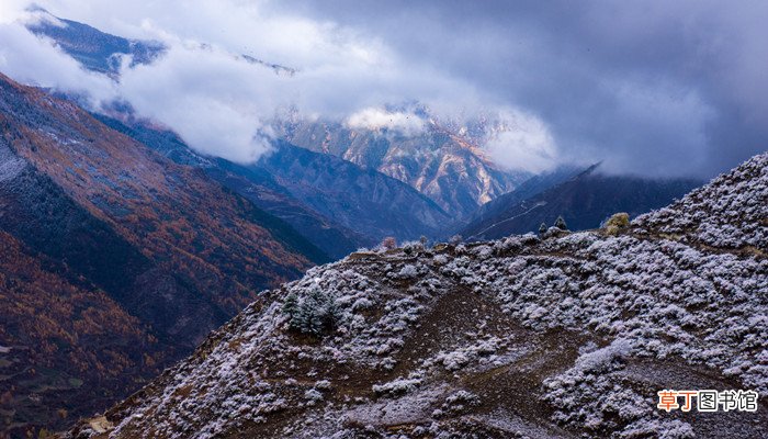长征途中第一座大雪山是什么