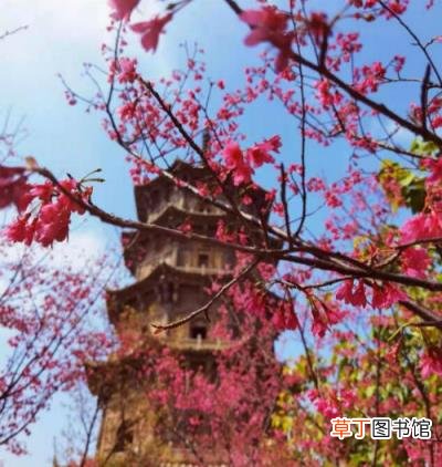 踏春的句子亲近大自然 开春踏青的简短语句