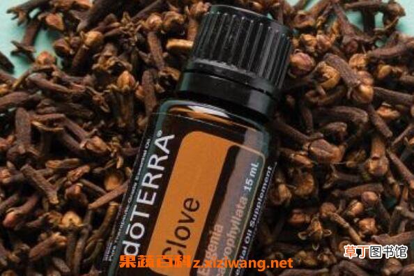 丁香精油的功效与作用 丁香精油的药用价值