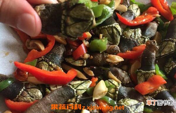 佛手螺怎么吃图解 佛手螺怎么保存方法