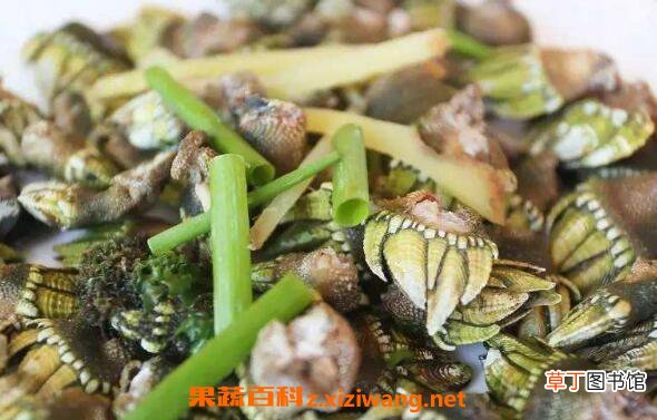 佛手螺怎么吃图解 佛手螺怎么保存方法