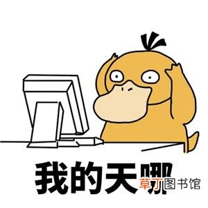 页眉下面的横线怎么去掉 去掉页眉上的横线