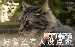电脑如何清理磁盘 如何清理磁盘