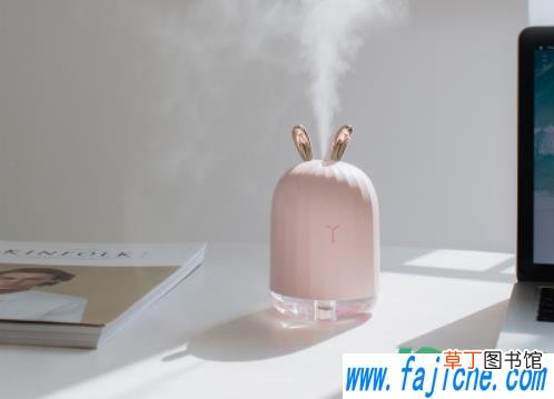 加湿器要边充电边用吗 加湿器要边充电边加湿吗