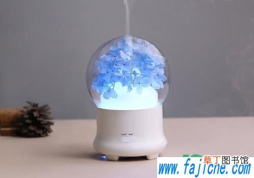加湿器要边充电边用吗 加湿器要边充电边加湿吗