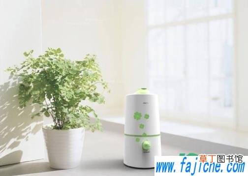 加湿器的水必须当天换吗 加湿器的水需要天天换吗