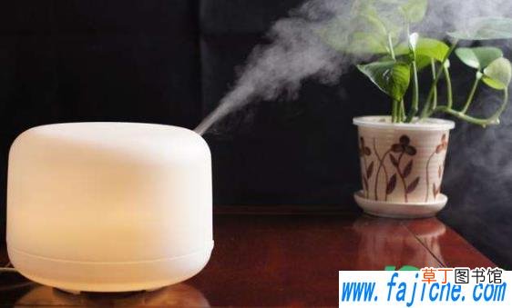 加湿器的水必须当天换吗 加湿器的水需要天天换吗