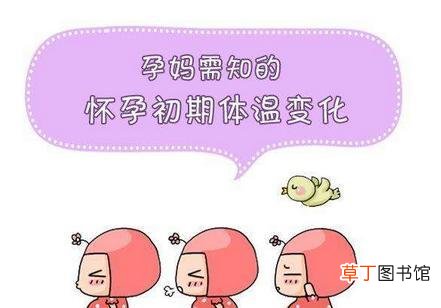 怀孕初期体温会有什么变化-怀孕初期体温会升高吗