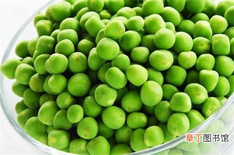 产妇吃什么下奶-产妇吃什么下奶最快-产妇吃什么下奶食物推荐
