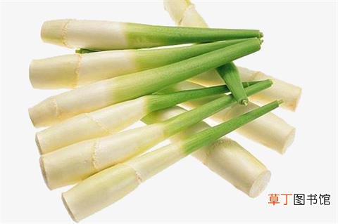 产妇吃什么下奶-产妇吃什么下奶最快-产妇吃什么下奶食物推荐