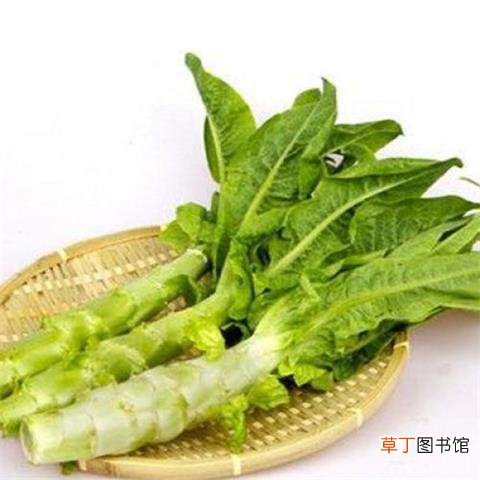 产妇吃什么下奶-产妇吃什么下奶最快-产妇吃什么下奶食物推荐