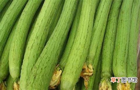产妇吃什么下奶-产妇吃什么下奶最快-产妇吃什么下奶食物推荐