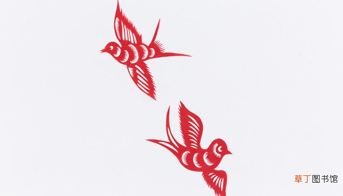燕子是益鸟还是害鸟