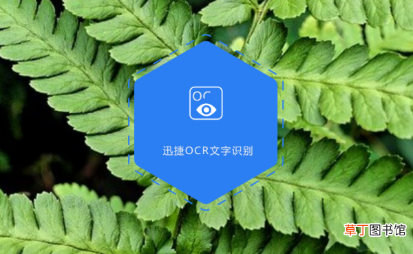 怎样翻译图片上的英文、图上英文怎样翻译为中文