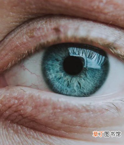 双眼皮会不会变成单眼皮