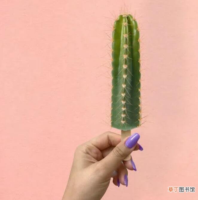 美甲行业是长久之计吗