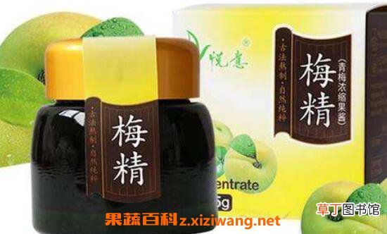 梅精的功效与作用 梅精的副作用