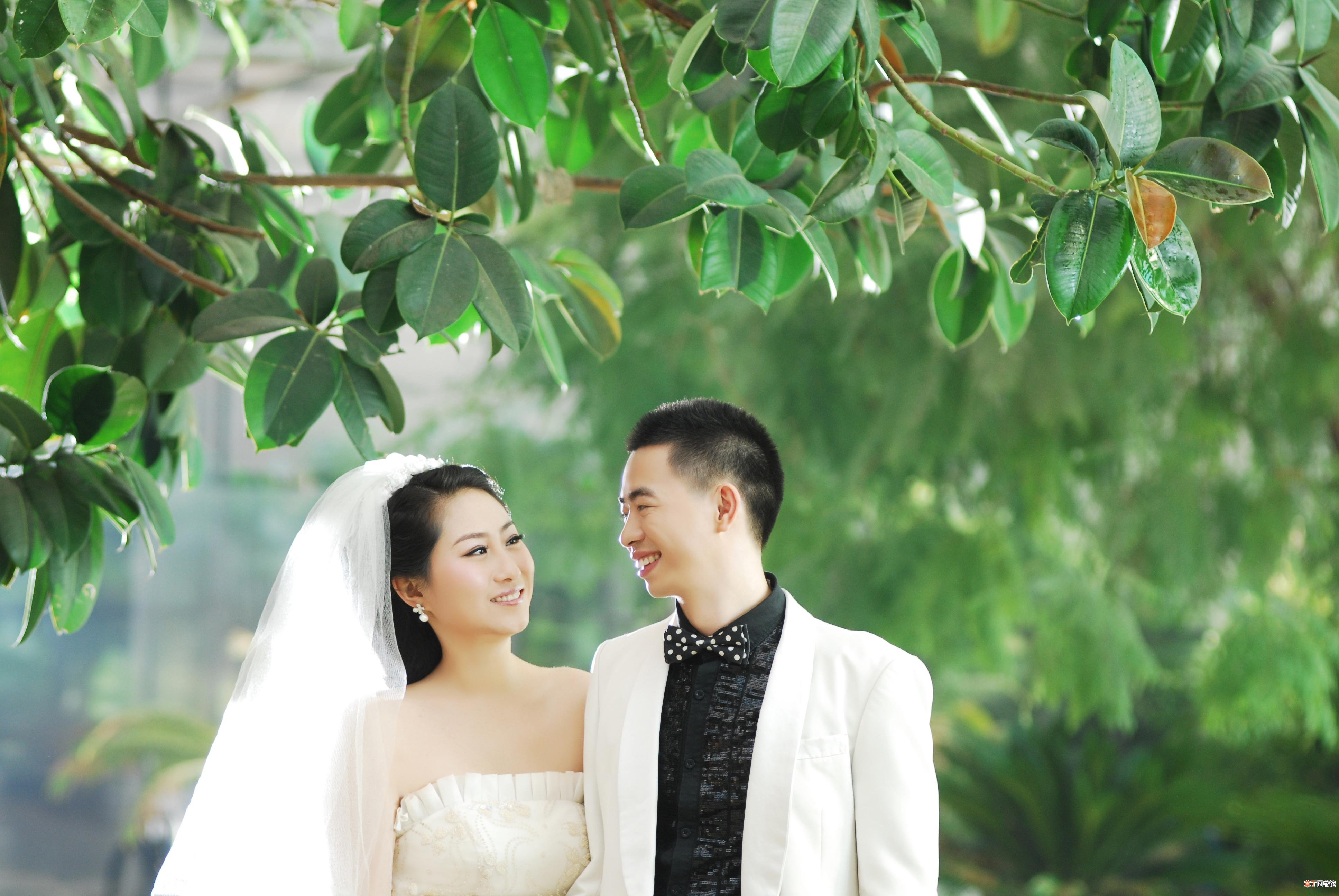十二年的婚姻是什么婚 结婚十二周年是什么婚