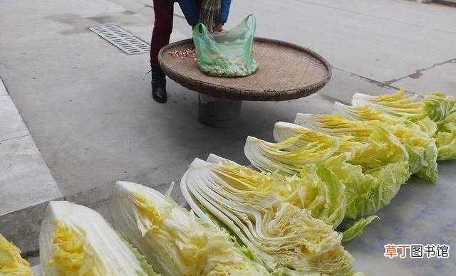 压白菜怎么做最简单的 宜昌压白菜应该怎么做