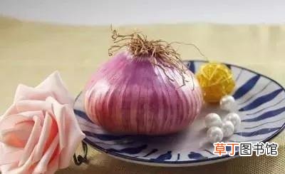 痛风能不能吃洋葱 痛风这三种绝对不能吃的