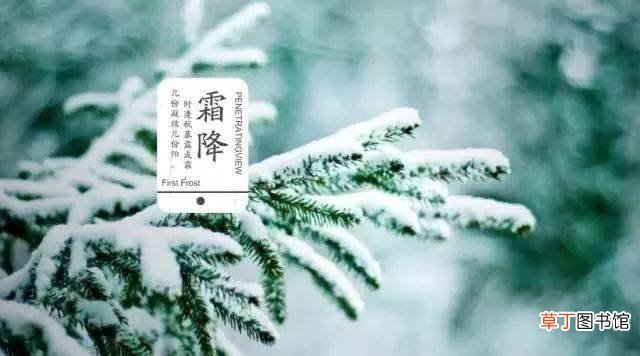 霜降节气的天气特点是什么?霜降的美好寓意
