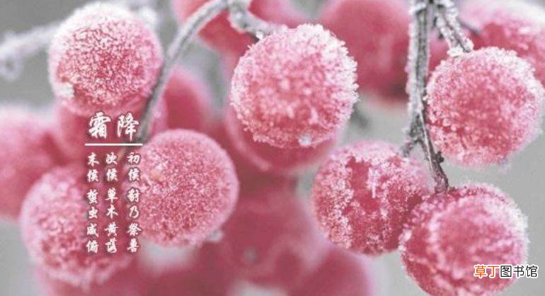霜降节气的天气特点是什么?霜降的美好寓意