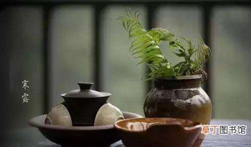 寒露养生吃什么最好?寒露养生吃什么有好处