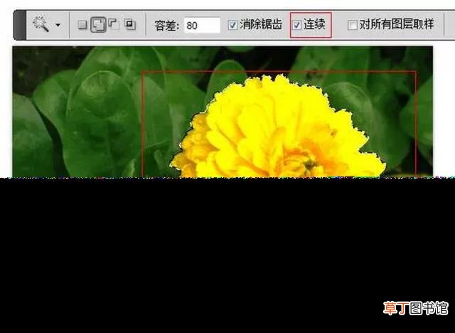 ai魔棒抠图怎么把图片拿出来 详解ai抠图详细步骤