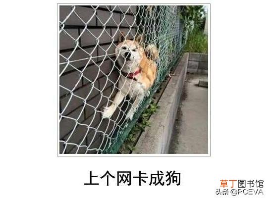 巴法络路由器怎么样 巴法络路由器