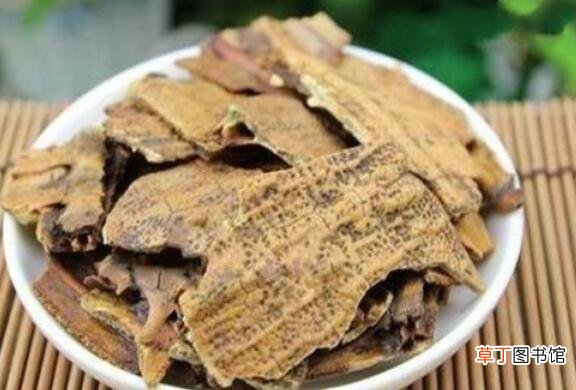 鳖甲怎么吃 鳖甲的食用方法