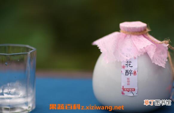 桃花酿的功效与作用 喝桃花酿的好处