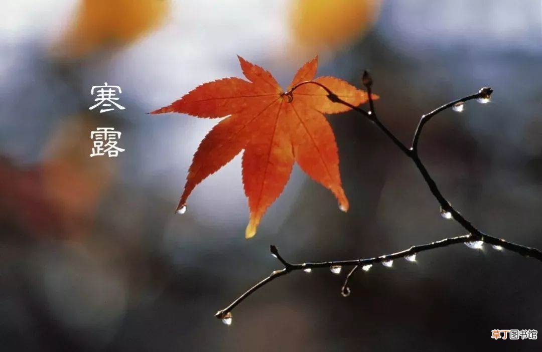 寒露前后天气怎么样?寒露节气气温多少度