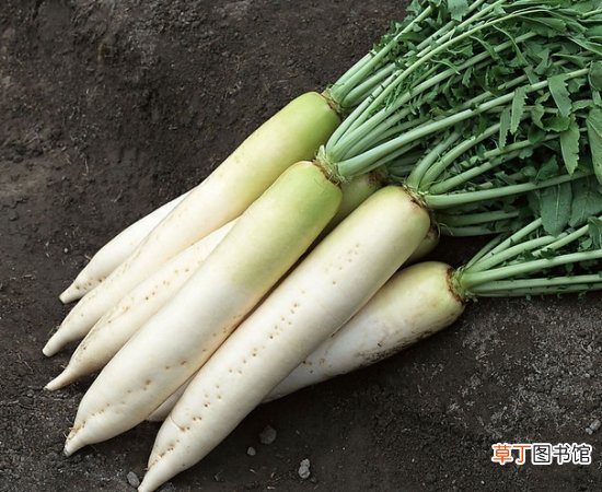 多吃6种食物缓解感冒引起的喉咙痛