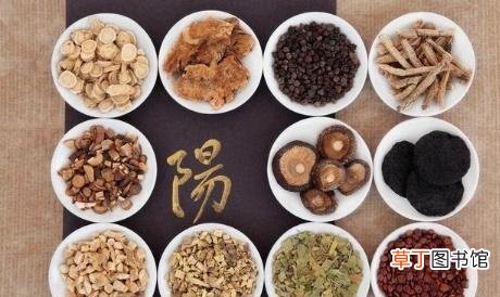 男人肾虚用什么药最好最快-男人肾虚要吃什么才可以补起来